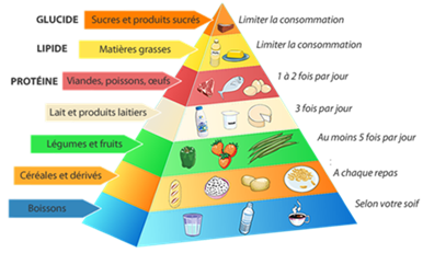 L'alimentation en tout équilibre - Amand-Bianic